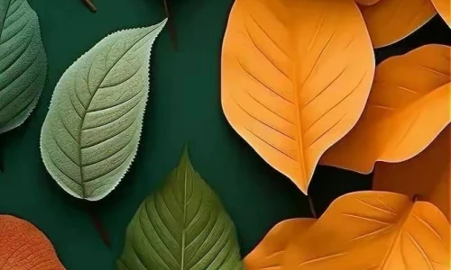 【3455】植物创意壁纸  2K 高清壁纸656_1456@青蛙壁纸-笨猫小站