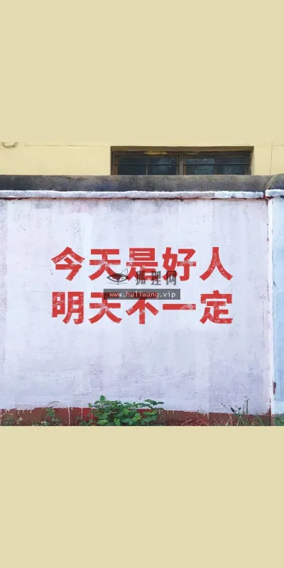 【3613】文字壁纸  4K 超清壁纸1080_2337@青蛙壁纸-笨猫小站