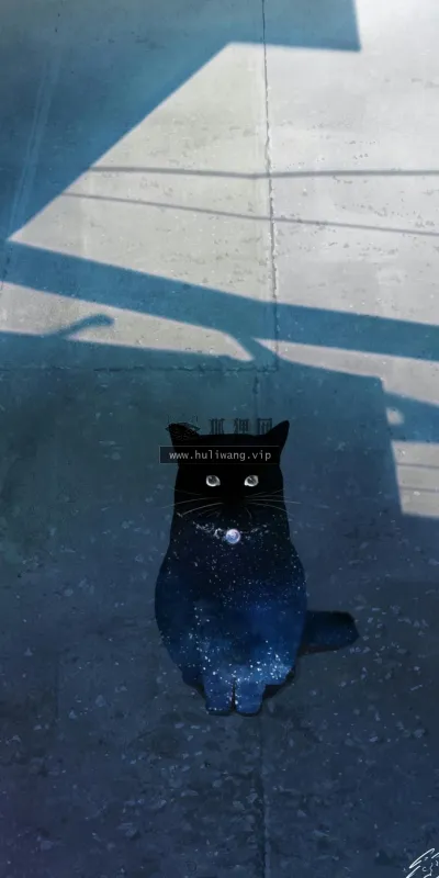 【3650】动物壁纸  4K 超清壁纸1080_2340@青蛙壁纸-笨猫小站