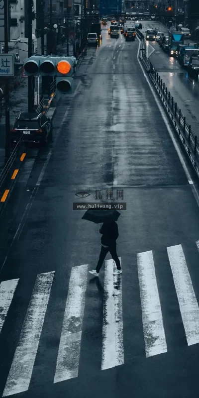 【3655】城市壁纸  4K 超清壁纸1080_2337@青蛙壁纸-笨猫小站