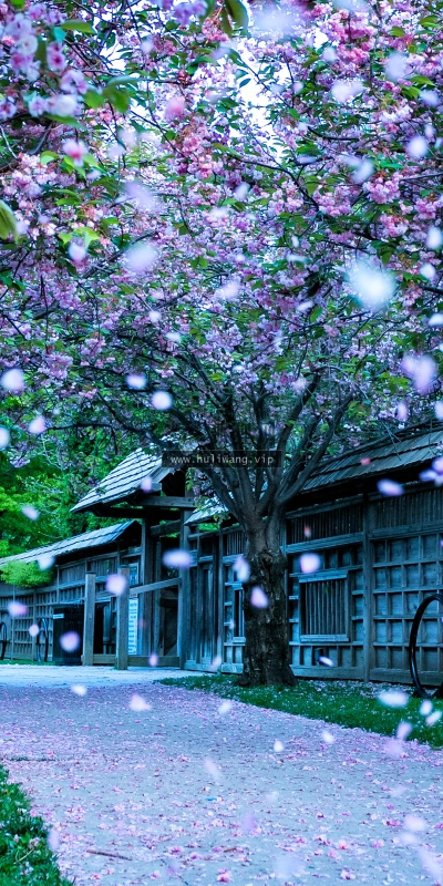 【3897】风景壁纸  4K 超清壁纸3840_2160@青蛙壁纸-笨猫小站