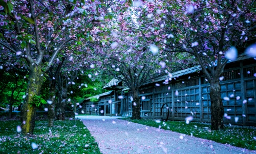 【3897】风景壁纸  4K 超清壁纸3840_2160@青蛙壁纸-笨猫小站