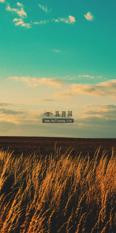 【3901】风景壁纸  4K 超清壁纸3840_2160@青蛙壁纸-笨猫小站