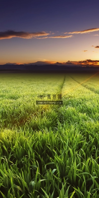 【3922】风景壁纸  4K 超清壁纸3840_2160@青蛙壁纸-笨猫小站