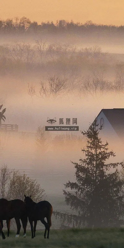 【3927】风景壁纸  2K 高清壁纸2560_1600@青蛙壁纸-笨猫小站