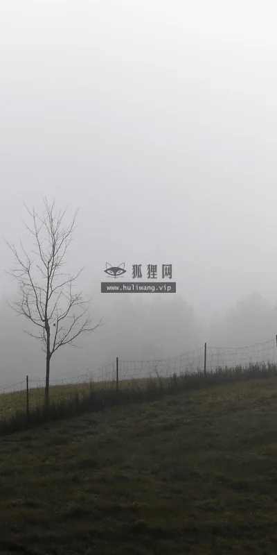 【3932】风景壁纸  2K 高清壁纸2560_1600@青蛙壁纸-笨猫小站