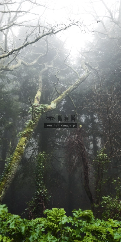 【3944】风景壁纸  4K 超清壁纸3840_2160@青蛙壁纸-笨猫小站
