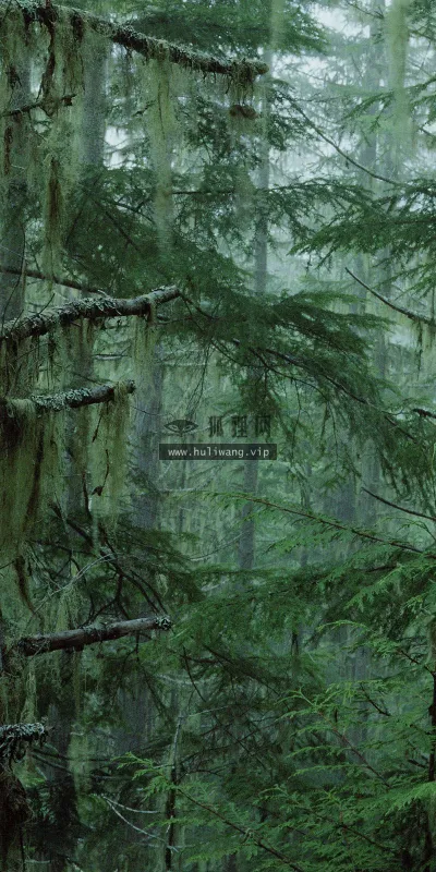 【3960】风景壁纸  2K 高清壁纸2560_1600@青蛙壁纸-笨猫小站