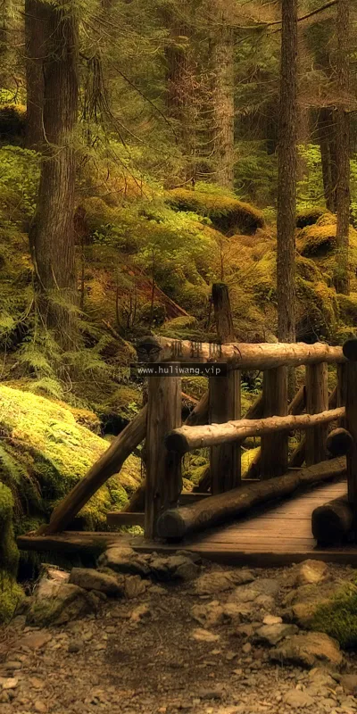 【3963】风景壁纸  2K 高清壁纸2560_1600@青蛙壁纸-笨猫小站