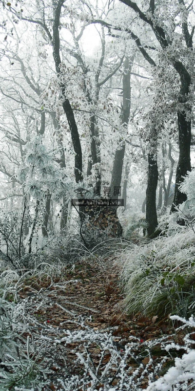 【3988】风景壁纸  2K 高清壁纸2560_1600@青蛙壁纸-笨猫小站