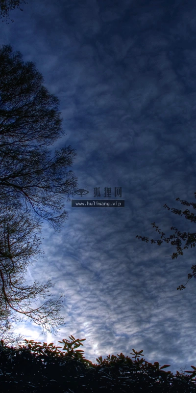 【4035】风景壁纸  2K 高清壁纸2560_1600@青蛙壁纸-笨猫小站