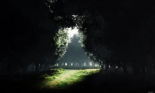【4046】风景壁纸  2K 高清壁纸2560_1600@青蛙壁纸-笨猫小站