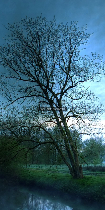 【4071】风景壁纸  2K 高清壁纸2560_1600@青蛙壁纸-笨猫小站