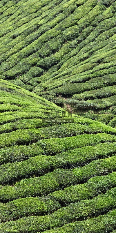 【4163】风景壁纸  2K 高清壁纸2560_1600@青蛙壁纸-笨猫小站
