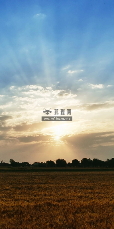 【4164】风景壁纸  2K 高清壁纸2560_1600@青蛙壁纸-笨猫小站