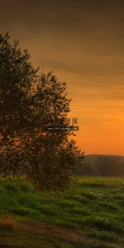 【4179】风景壁纸  2K 高清壁纸2560_1600@青蛙壁纸-笨猫小站
