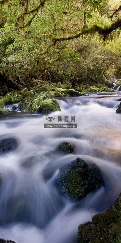 【4211】风景壁纸  2K 高清壁纸2560_1600@青蛙壁纸-笨猫小站