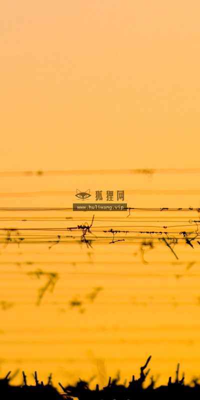 【4216】风景壁纸  2K 高清壁纸2560_1600@青蛙壁纸-笨猫小站