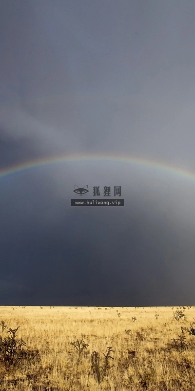 【4218】风景壁纸  2K 高清壁纸2560_1600@青蛙壁纸-笨猫小站