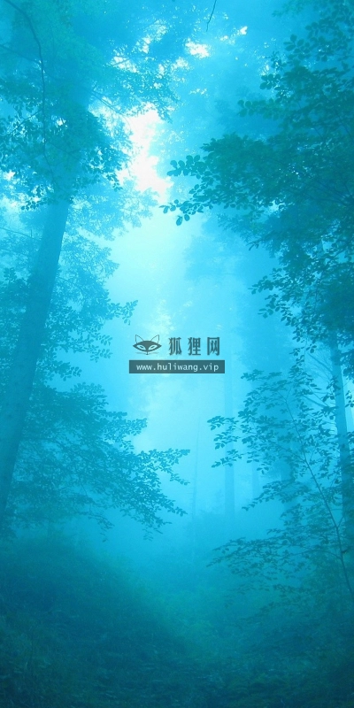 【4244】风景壁纸  2K 高清壁纸2560_1600@青蛙壁纸-笨猫小站