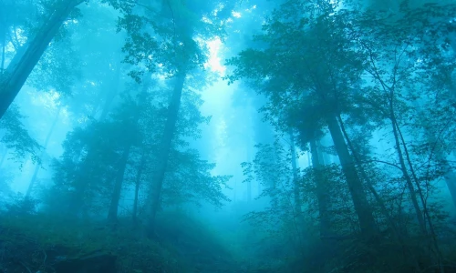 【4244】风景壁纸  2K 高清壁纸2560_1600@青蛙壁纸-笨猫小站