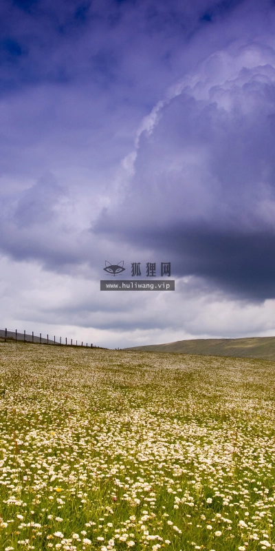 【4292】风景壁纸  2K 高清壁纸2560_1600@青蛙壁纸-笨猫小站