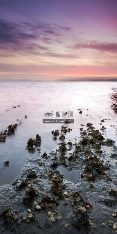 【4314】风景壁纸  2K 高清壁纸2560_1600@青蛙壁纸-笨猫小站