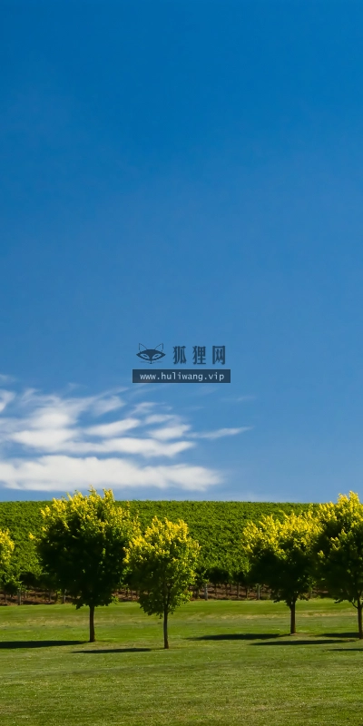 【4349】风景壁纸  2K 高清壁纸2560_1600@青蛙壁纸-笨猫小站