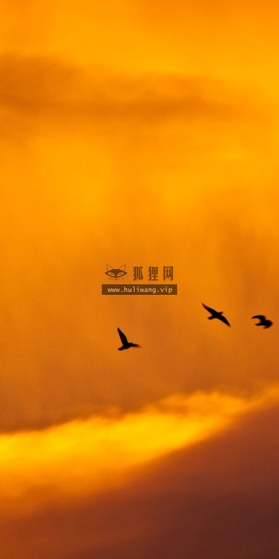 【4363】风景壁纸  2K 高清壁纸2560_1600@青蛙壁纸-笨猫小站