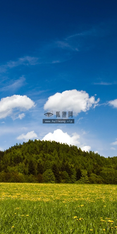 【4383】风景壁纸  2K 高清壁纸2560_1600@青蛙壁纸-笨猫小站