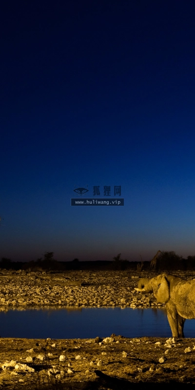 【4398】风景壁纸  2K 高清壁纸2560_1600@青蛙壁纸-笨猫小站