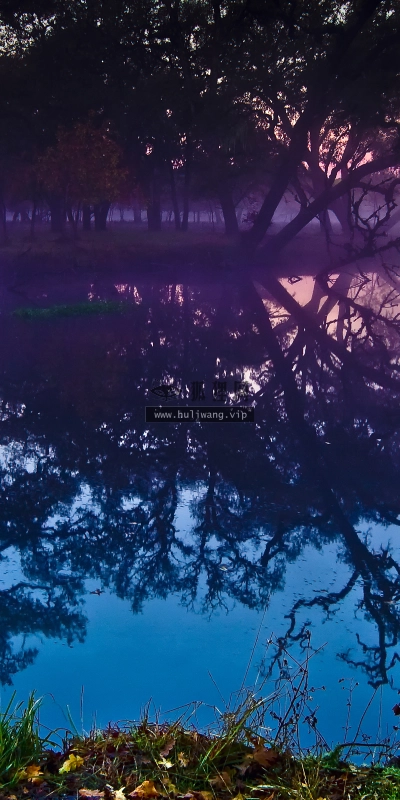 【4421】风景壁纸  2K 高清壁纸2560_1600@青蛙壁纸-笨猫小站