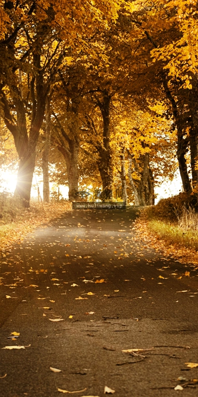 【4428】风景壁纸  2K 高清壁纸2560_1600@青蛙壁纸-笨猫小站