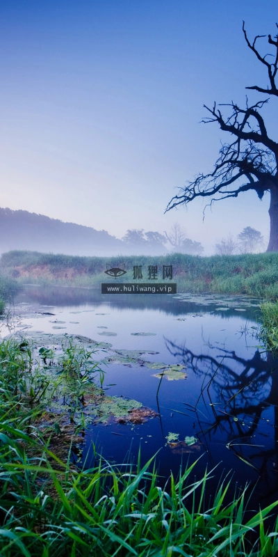 【4465】风景壁纸  2K 高清壁纸2560_1600@青蛙壁纸-笨猫小站