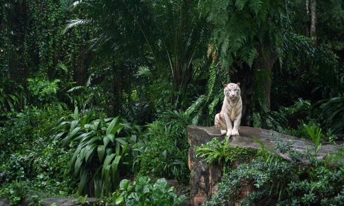 【4480】风景壁纸  2K 高清壁纸2560_1600@青蛙壁纸-笨猫小站