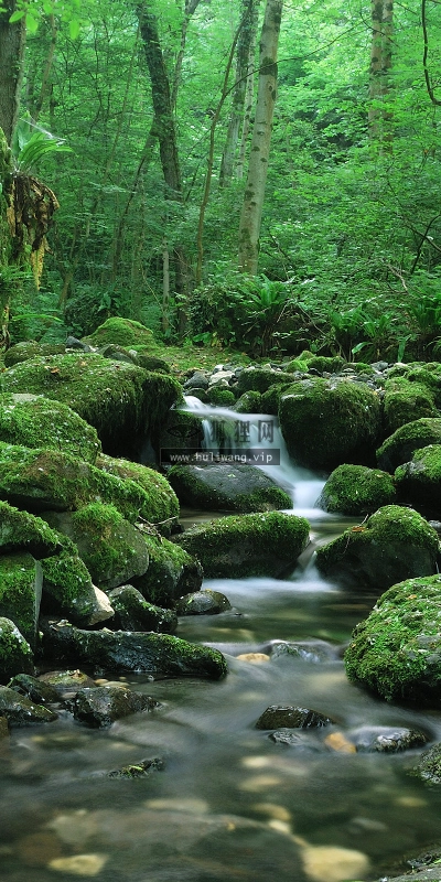 【4488】风景壁纸  2K 高清壁纸2560_1600@青蛙壁纸-笨猫小站