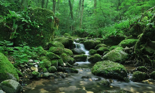 【4488】风景壁纸  2K 高清壁纸2560_1600@青蛙壁纸-笨猫小站