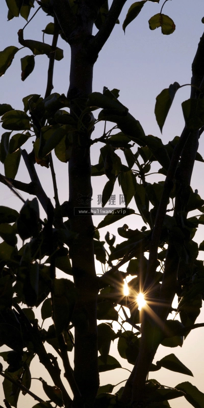【4501】风景壁纸  2K 高清壁纸2560_1600@青蛙壁纸-笨猫小站