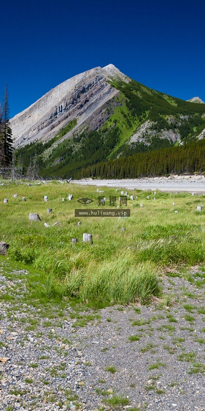 【4508】风景壁纸  2K 高清壁纸2560_1600@青蛙壁纸-笨猫小站