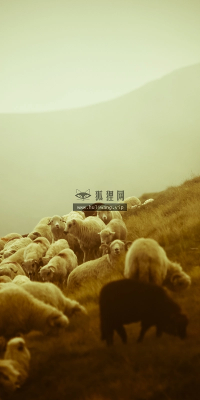 【4516】风景壁纸  2K 高清壁纸2560_1600@青蛙壁纸-笨猫小站