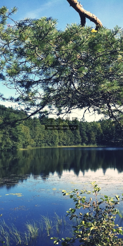 【4543】风景壁纸  2K 高清壁纸2560_1600@青蛙壁纸-笨猫小站