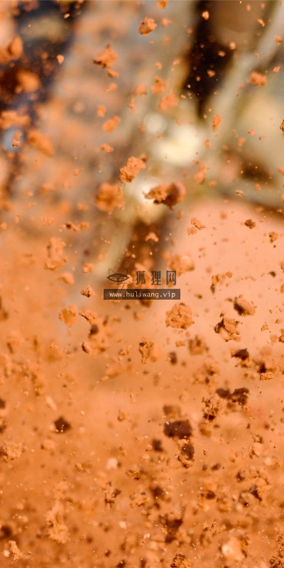 【4562】风景壁纸  2K 高清壁纸2560_1600@青蛙壁纸-笨猫小站