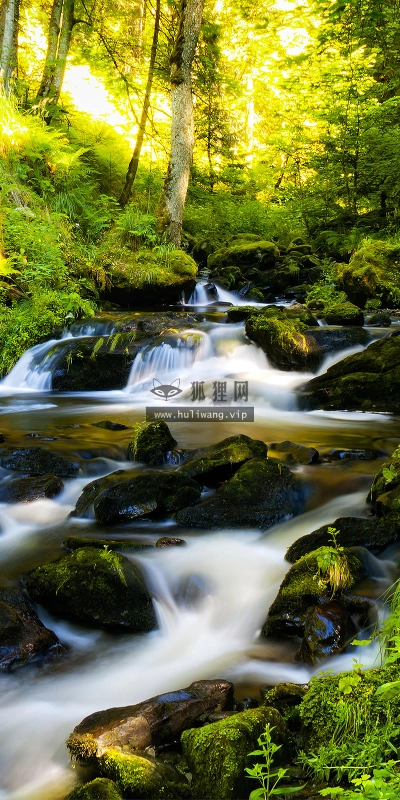 【4577】风景壁纸  2K 高清壁纸2560_1600@青蛙壁纸-笨猫小站