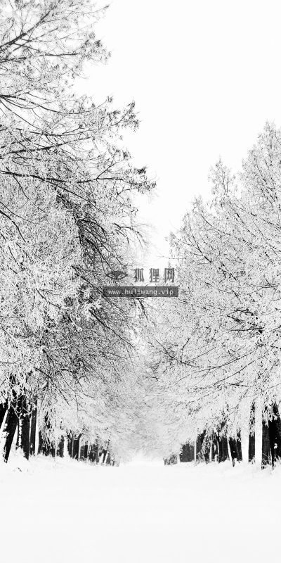 【4587】风景壁纸  2K 高清壁纸2560_1600@青蛙壁纸-笨猫小站