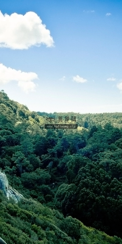 【4605】风景壁纸  2K 高清壁纸2560_1600@青蛙壁纸-笨猫小站