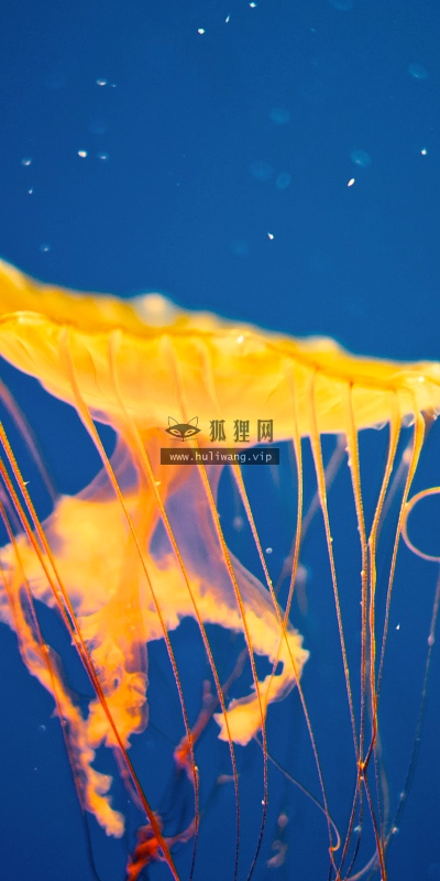 【4612】风景壁纸  2K 高清壁纸2560_1600@青蛙壁纸-笨猫小站