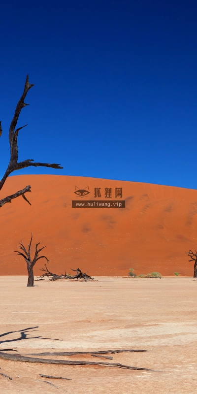 【4651】风景壁纸  2K 高清壁纸2560_1600@青蛙壁纸-笨猫小站