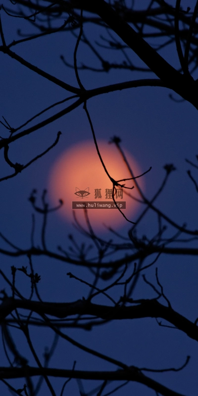 【4665】风景壁纸  2K 高清壁纸2560_1600@青蛙壁纸-笨猫小站