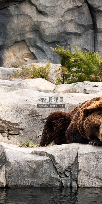 【4677】风景壁纸  2K 高清壁纸2560_1600@青蛙壁纸-笨猫小站