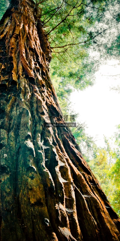 【4700】风景壁纸  2K 高清壁纸2560_1600@青蛙壁纸-笨猫小站
